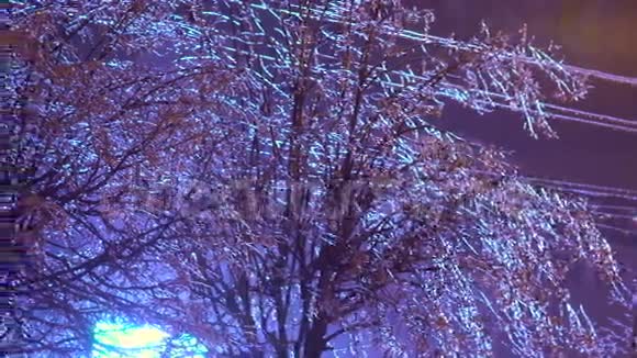 冻雨中的树木视频的预览图