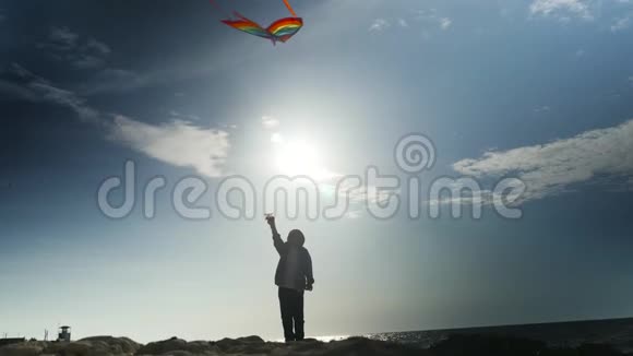 夏天在海上背景下抱着放风筝的小孩剪影视频的预览图