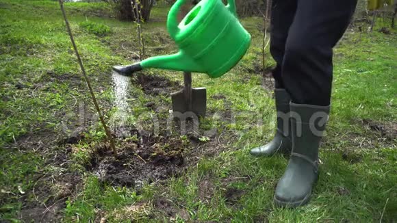 农民用罐子浇水春天花园的园丁植树视频的预览图