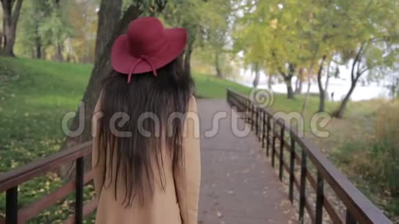 公园里走在木桥上的时髦女人视频的预览图