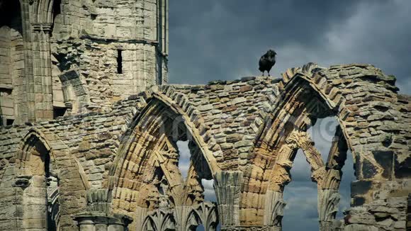 乌鸦在修道院的废墟上视频的预览图