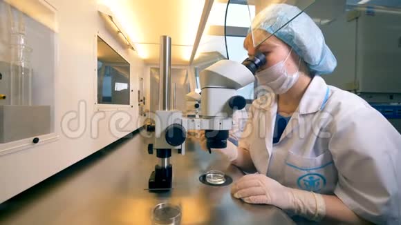 实验室技术人员在玻璃分割的隔间里使用显微镜视频的预览图