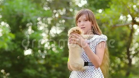女孩手里拿着一只小狗视频的预览图