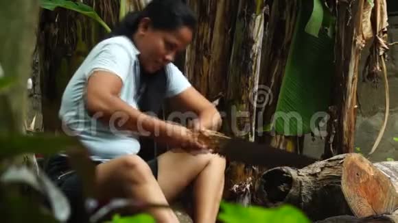 女人在后院用日本的手锯锯木做柴火视频的预览图