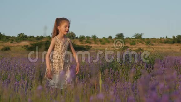 可爱的小女孩在夕阳下美丽的草田间嬉戏跳舞视频的预览图