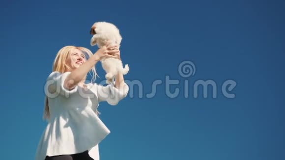 和你最喜欢的小狗玩得开心一个年轻的女人在蹦床上跳得很高手里拿着一只狗慢动作4k视频的预览图