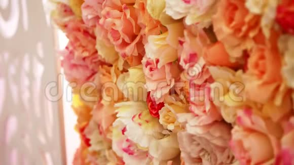 特写婚礼装饰玫瑰花蕾的节日装饰橙色花蕾的美丽墙壁桃红色玫瑰视频的预览图