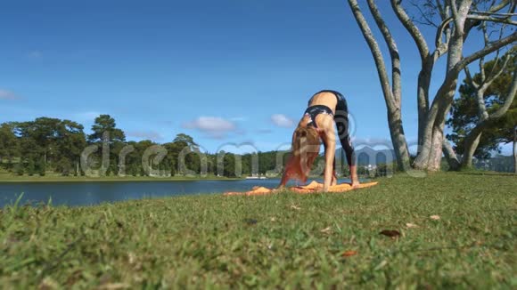 年轻女子做瑜伽对抗景观视频的预览图