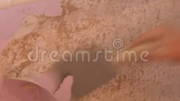 家庭维修雄性的手用特别的铲子从墙上剥去粉红色的旧墙纸视频的预览图