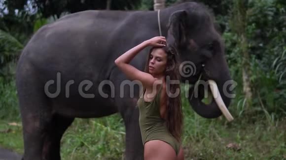 华丽的模特穿着封闭式泳衣在大象旁边摆姿势一半转向相机一只手臂放在她的头上拍摄肖像视频的预览图