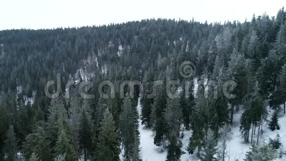 空中白雪覆盖的树木钻山景观冬季自然美丽的欧洲森林山旅行白色著名视频的预览图