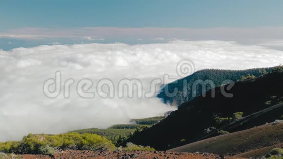 美丽的风景有云海和森林山谷和森林之上的云海景观视频的预览图