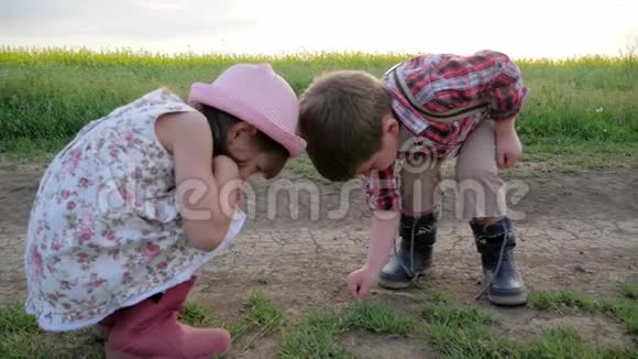 儿童学习世界儿童背景田野与鲜花可爱的小女孩和男孩在绿色公园玩耍家庭自然视频的预览图