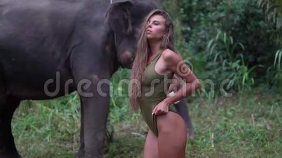 在丛林中一头大象的背景下穿着卡其布泳衣的漂亮女孩的肖像视频视频的预览图