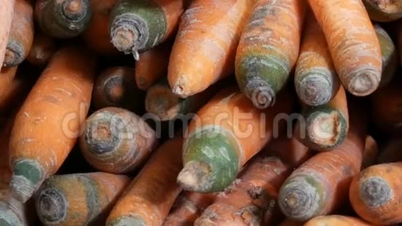 市场摊位上漂亮的成熟胡萝卜视频的预览图
