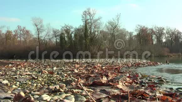 北水突湖沐浴秋天岸上是枯叶视频的预览图