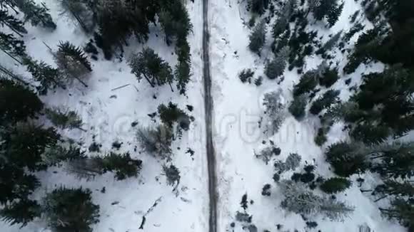 冬天森林里的路大雪纷飞空中观景台视频的预览图