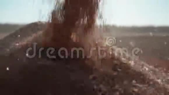 特写麦粒落入谷物堆视频的预览图