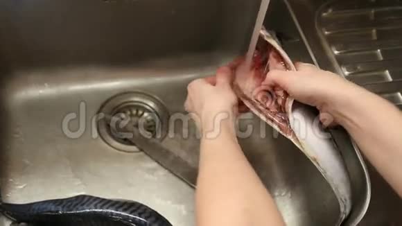 一个女人洗了鲭鱼内脏视频的预览图