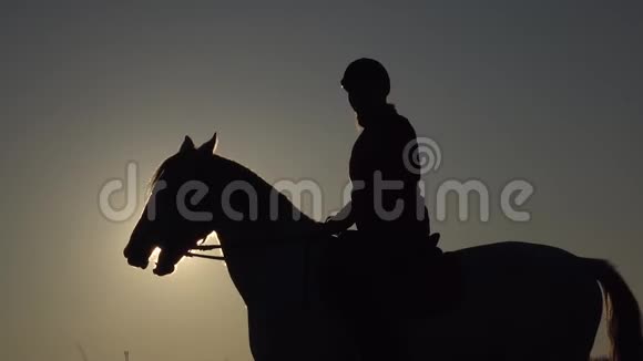 背景夕阳下一个女人骑马的剪影慢动作视频的预览图