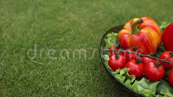 草地上的蔬菜绿色草坪上碗中新鲜绿色和红色蔬菜的俯视视频视频的预览图