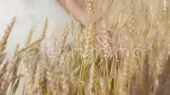 新娘手穿小麦视频的预览图