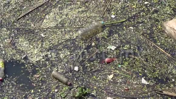 环境污染水中的塑料瓶视频的预览图