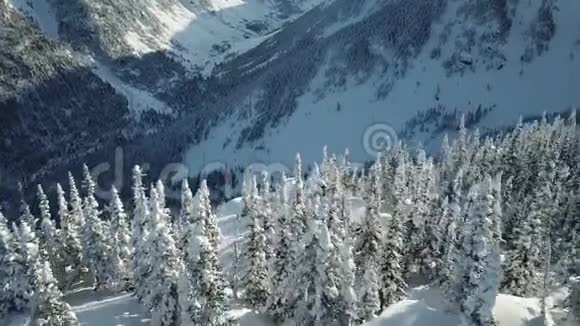 鸟瞰无人机自由滑雪板下降粉末雪视频的预览图