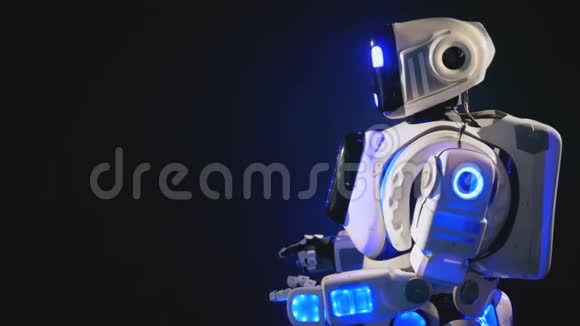 白色机器人向相机摆姿势视频的预览图