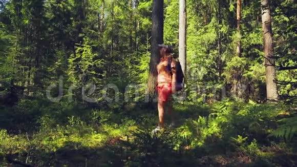 女游客背着背包在森林里漫步视频的预览图