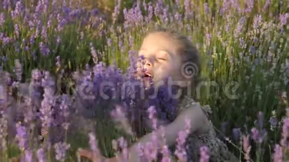 可爱的小女孩在夏天的夕阳下抱着一丛淡紫色的花视频的预览图