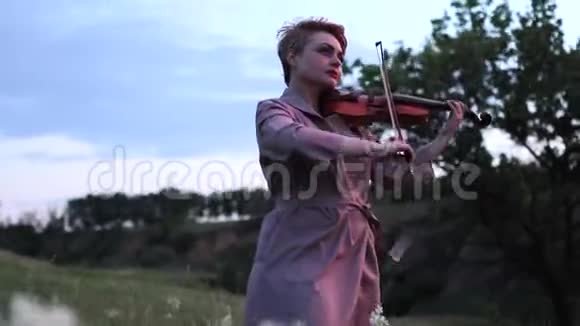 女小提琴手在草地上演奏小提琴背景是天空草药和鲜花视频的预览图