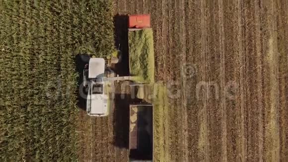 玉米青贮收割机和拖拉机视频的预览图