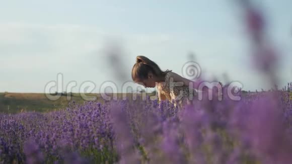 可爱的少女在日落时收集一束鲜花视频的预览图