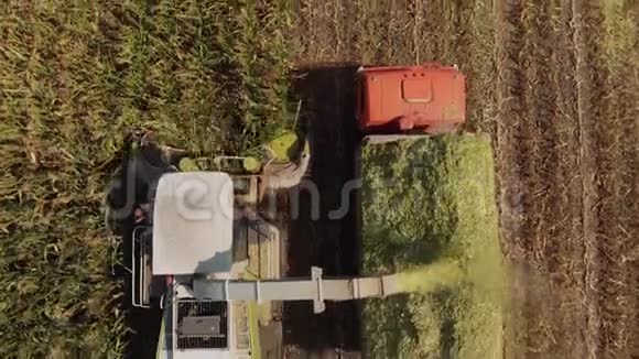 玉米青贮收割机和拖拉机视频的预览图