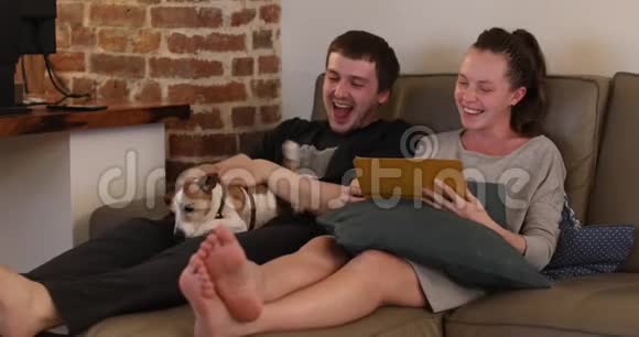 年轻夫妇一边坐在沙发上一边和狗聊天视频的预览图