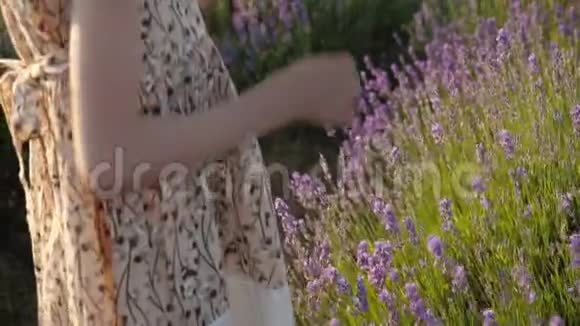 在夏天的田野上采花的漂亮姑娘视频的预览图