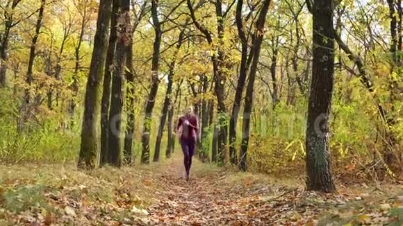 慢速跑步女子跑步者在秋天的森林小径上慢跑适合女性运动健身模式运动员跑步训练R视频的预览图