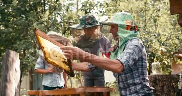 快乐父亲养蜂人的团队合作把装满蜜蜂的木架上的蜂窝展示给他的两个小儿子视频的预览图