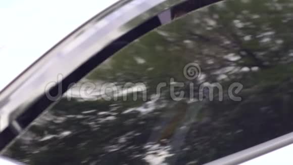 男人开车打开窗户看着相机视频的预览图