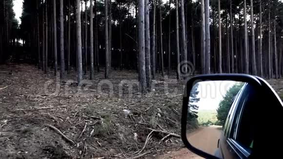松树林和汽车镜的超慢动作视频的预览图