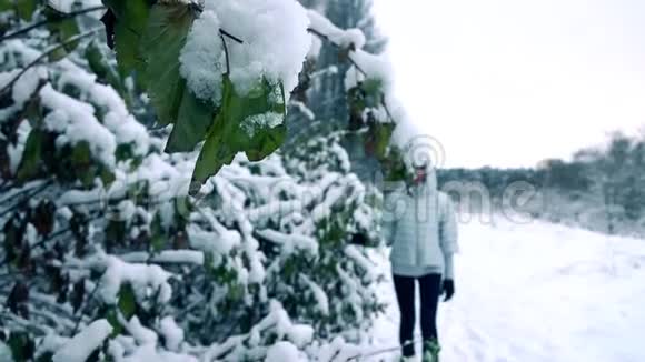 美丽的年轻女子在美丽的雪林中摇动着树枝上的雪慢镜头冷色视频的预览图