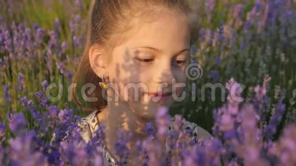 一个漂亮的小女孩坐在薰衣草灌木丛中的肖像视频的预览图