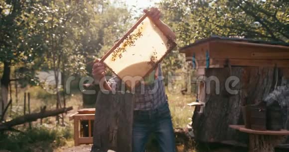 红色镜头农业概念戴帽子面纱的养蜂人正在照顾蜜蜂他正把蜂巢拿在视频的预览图