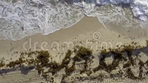 在美国迈阿密阳光灿烂的沙滩上观看海浪翻滚视频的预览图