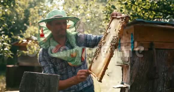 农业概念戴着帽子面纱的老apiarist正拿着蜜蜂吸烟者面前木架上的蜂窝视频的预览图