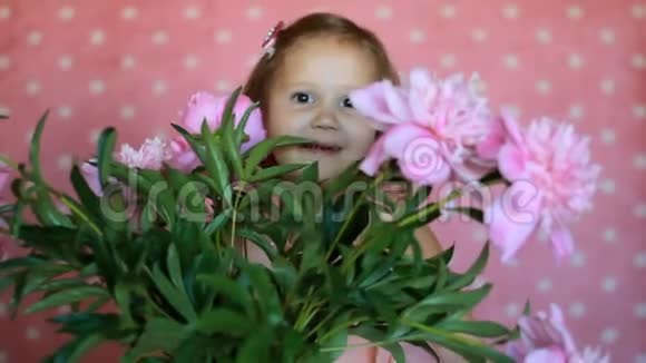 小女孩藏在一束牡丹花里宝宝玩粉色牡丹花视频的预览图