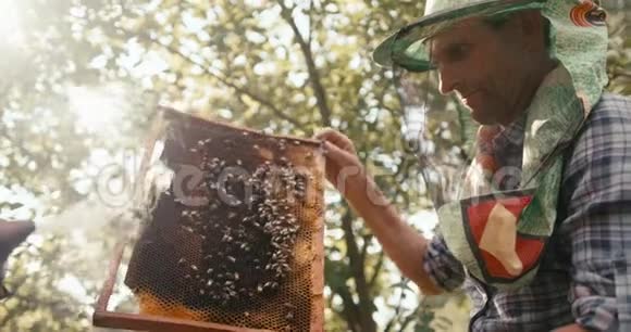 拍摄在红色相机上的老养蜂人戴着帽子面纱照顾蜜蜂他拿着蜂窝视频的预览图