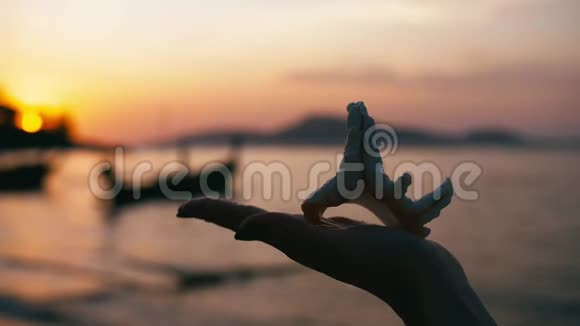 热带天堂里女人手捧沙滩贝壳视频的预览图