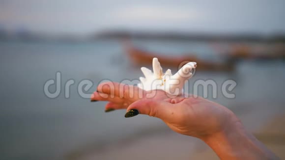 热带天堂里女人手捧沙滩贝壳视频的预览图